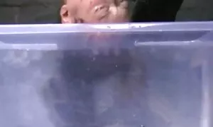 مقعد عكس كس و كون