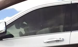 در جستجوی گالری عکس کس و کون احساسات جدید به جنگل کشیده شد