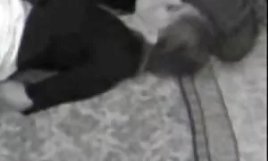 از بوسیدن دختر جلوگیری می کند عكس كير وكوس