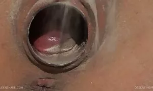 خوب ، عكس كون وكوس شما مزخرفات را از کجا بدست آورده اید