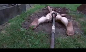 استمناء زیر عکس سکسی کوس وکیر پورنو